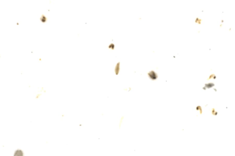 Image 108